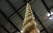 crossfit-rope-climbing-technique